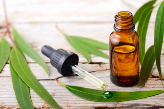 Tea tree oil – jaké má vlastnosti a jak jej používat? 